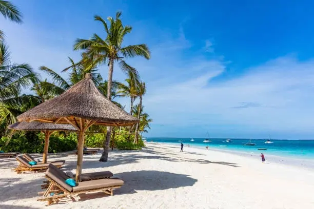 Beach with palm trees and a thatched shelter