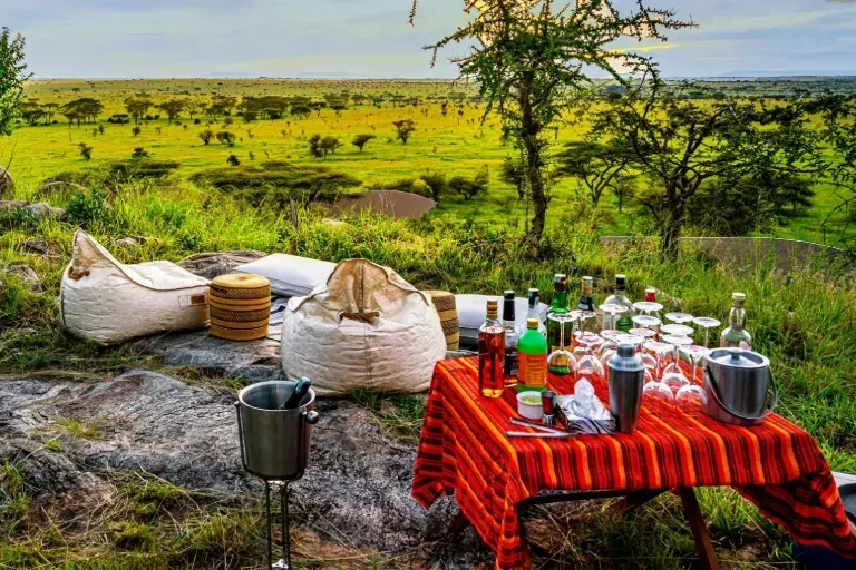 Tanzania Luxury Safaris