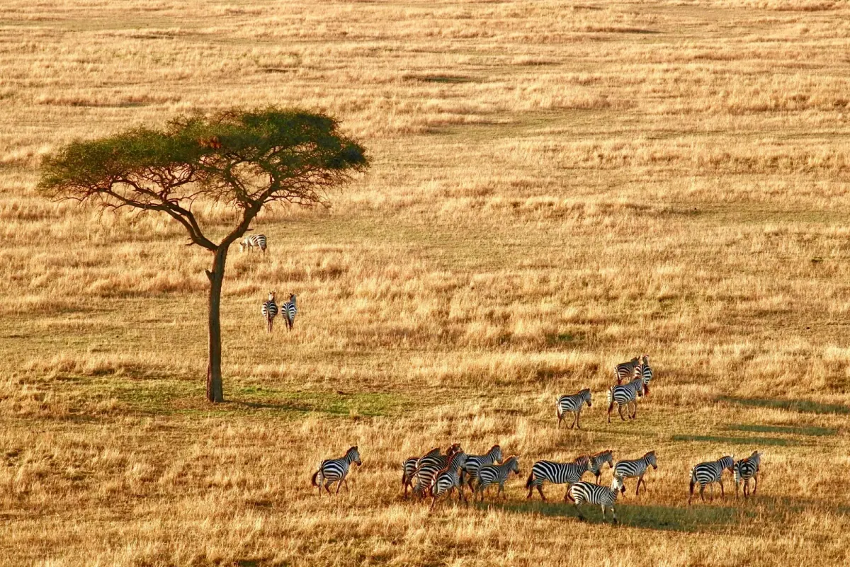 7-Day Tanzania Budget Tour with local culture visits