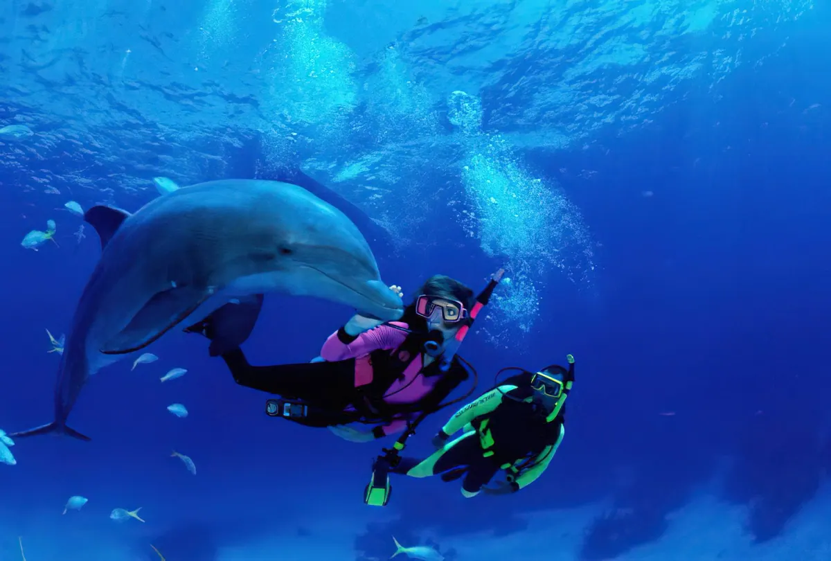 Zanzibar Classic Reef Tour: Dive into Paradise