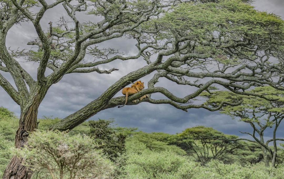 Home img 20240115 wa0026