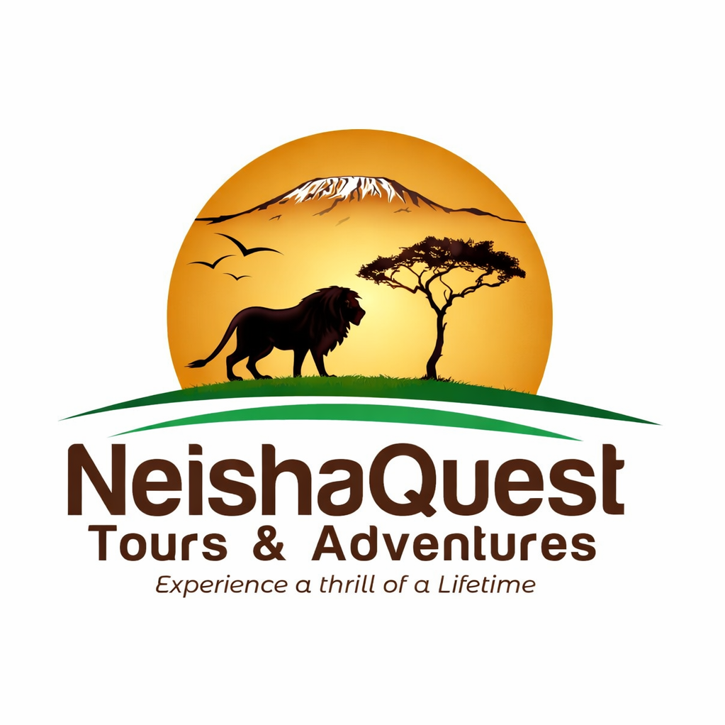 file 000000007374722f93fbeea60c0ef55a (1)