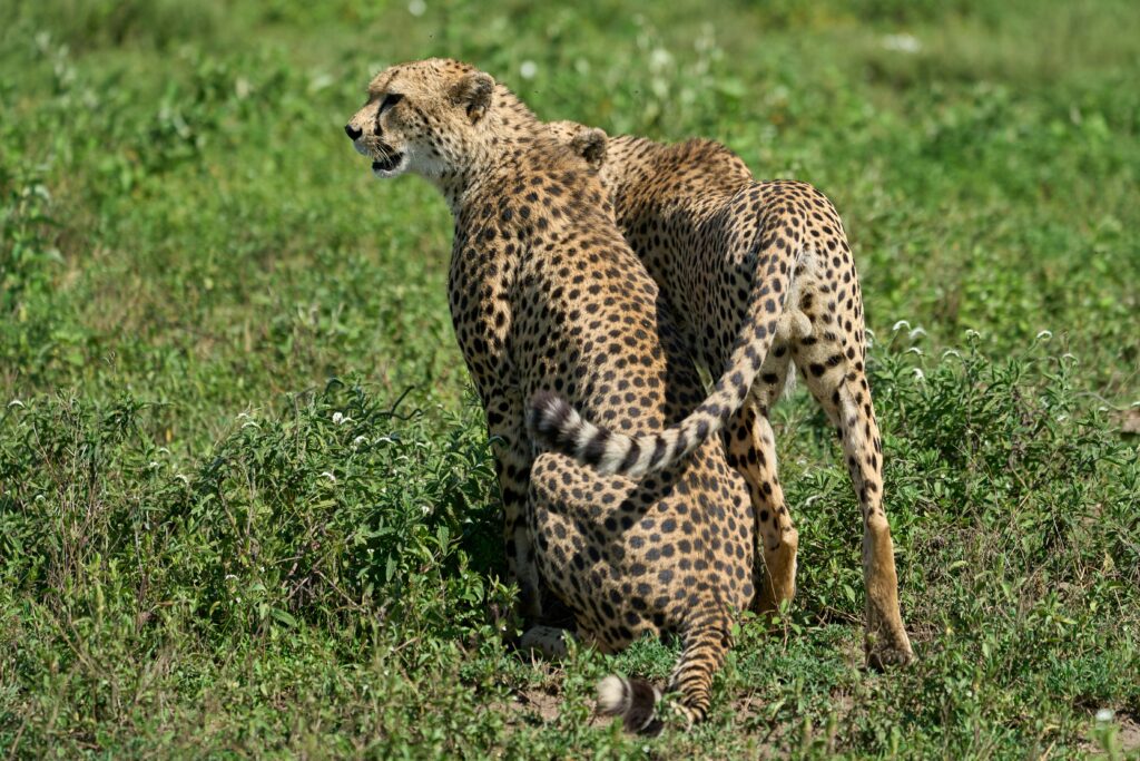 Destinations dmitrii zhodzishskii vzouojvtbma unsplash