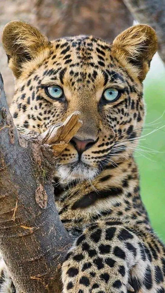 img-04-free-img img 20230915 wa0002 copy