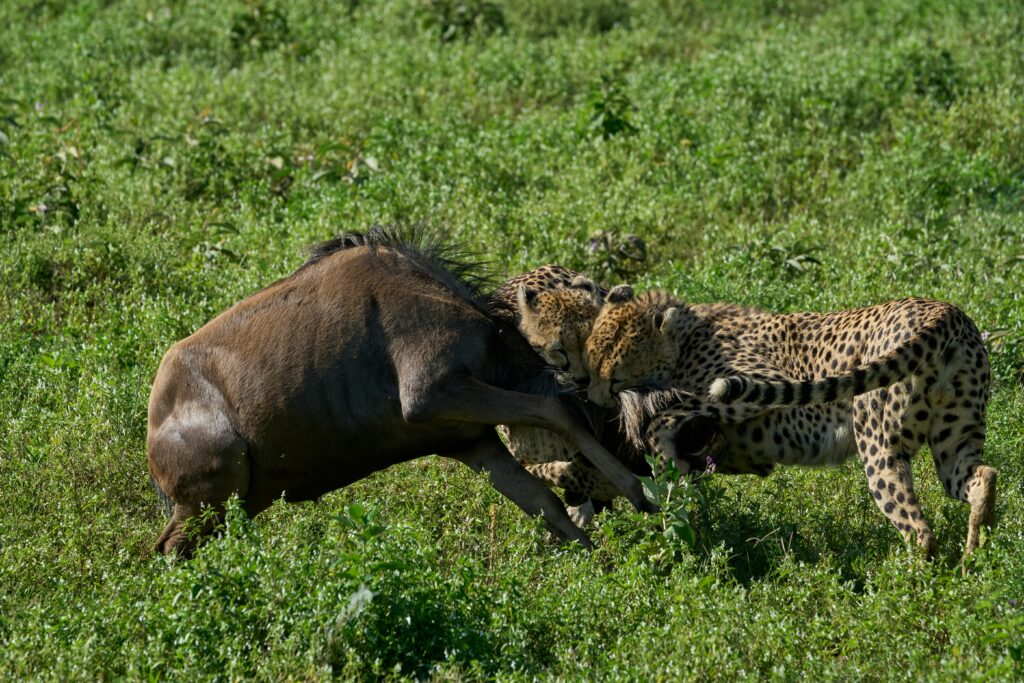 dmitrii zhodzishskii 9b4csgunmlg unsplash