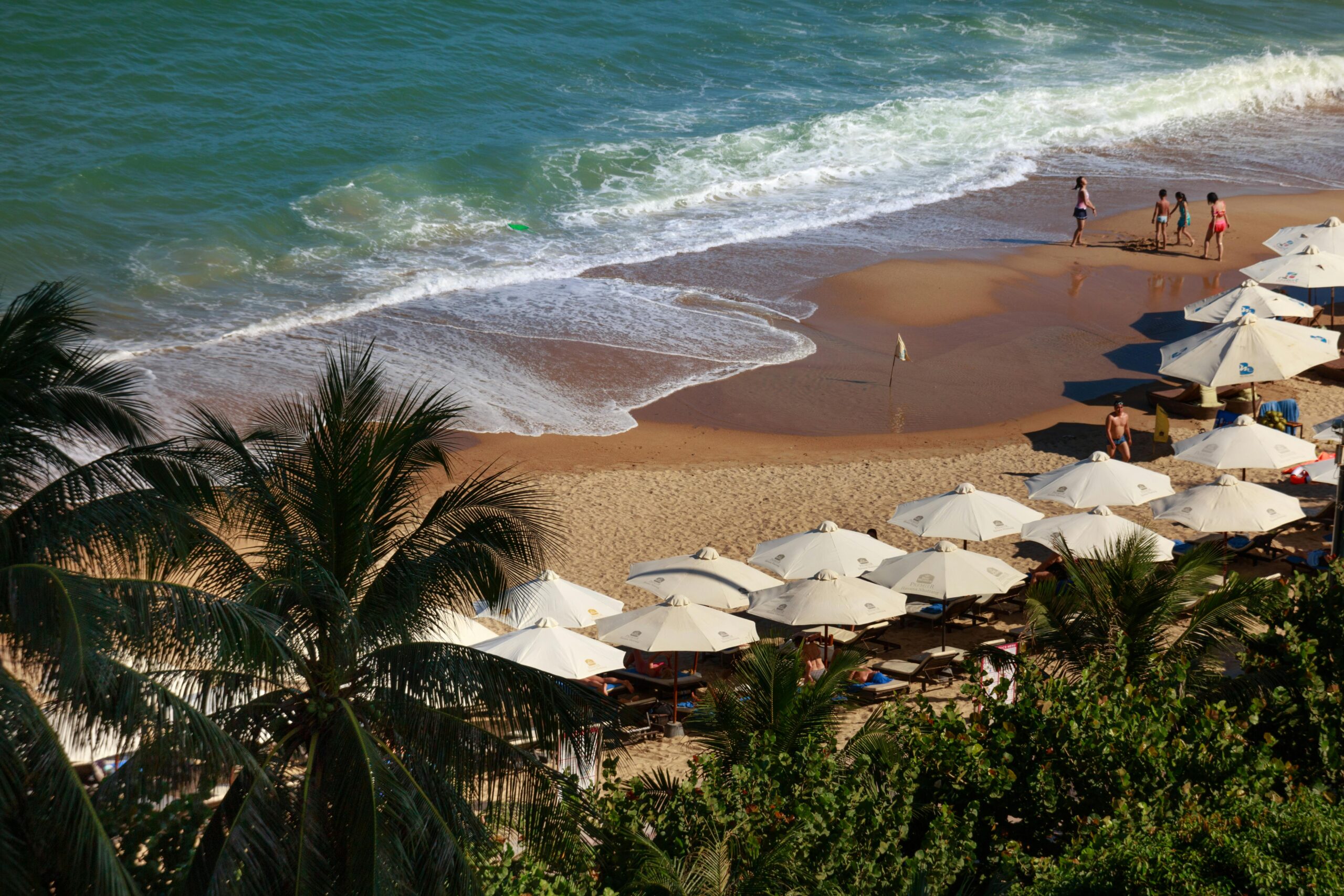 img-09-free-img.jpg A vibrant coastal view featuring palm trees, beach umbrellas, and people enjoying a sunny day.